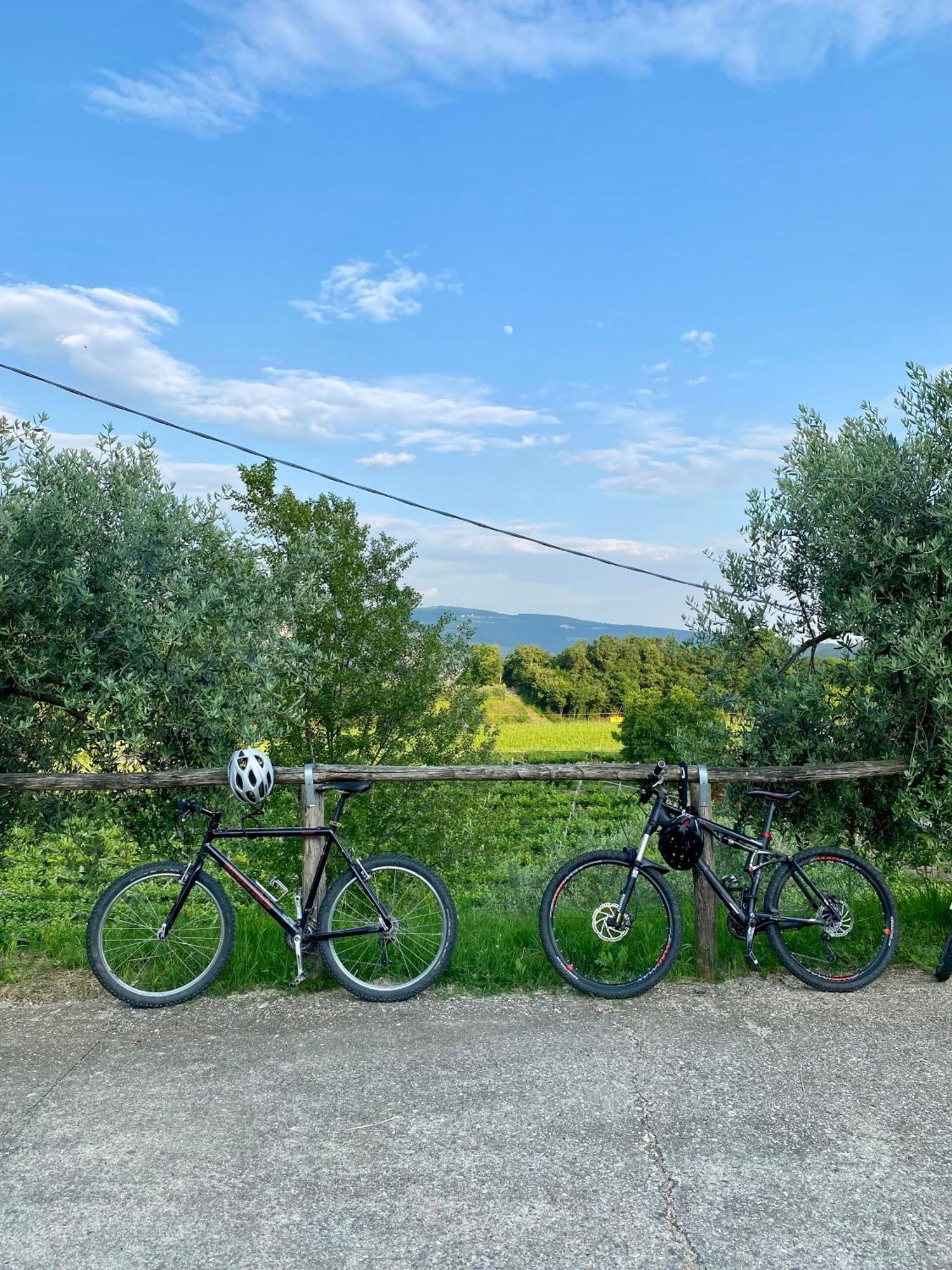 Agriturismo Ca' Cristane
