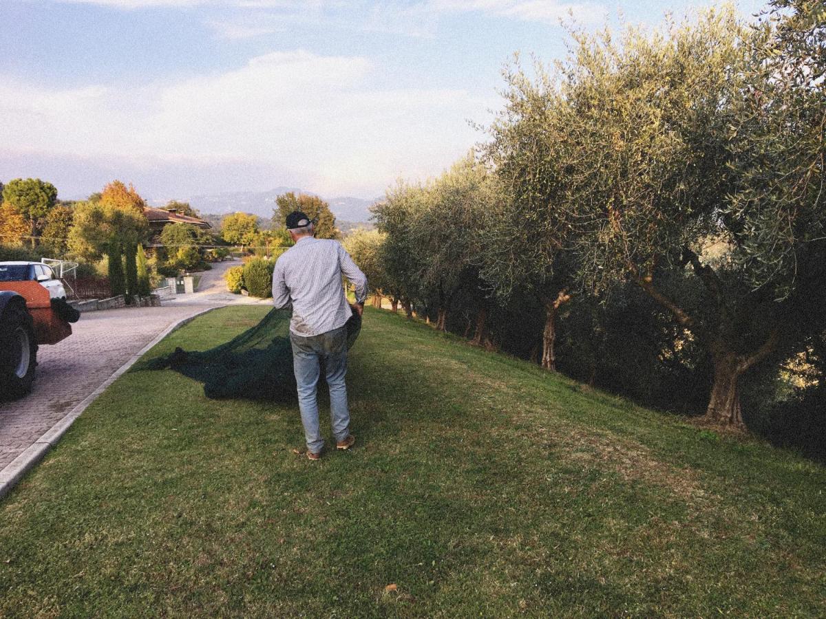 Agriturismo Ca' Cristane Rivoli Veronese
