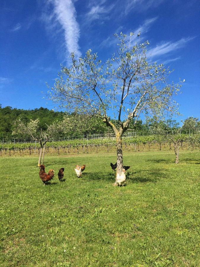 Bauernhof Agriturismo Ca' Cristane