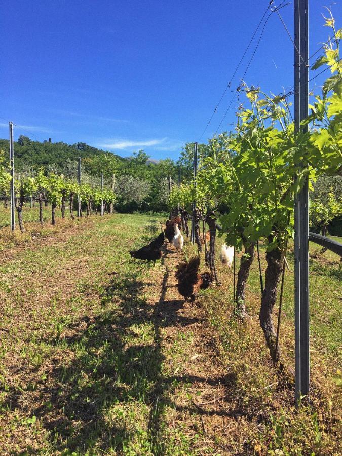 Agriturismo Ca' Cristane