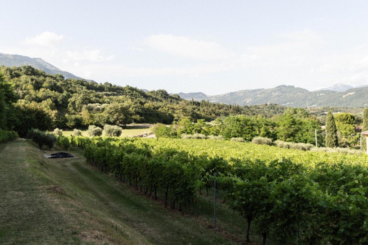Agriturismo Ca' Cristane *