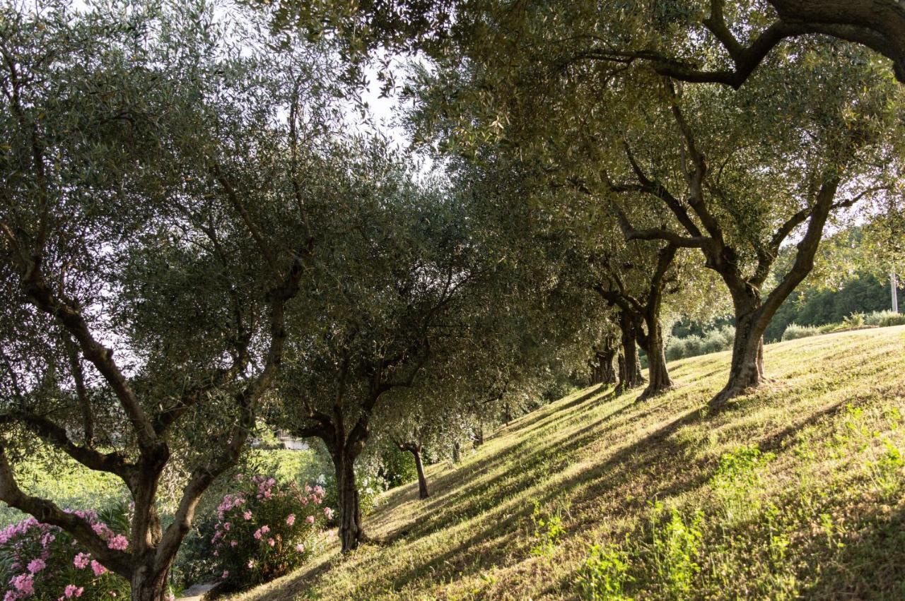 Bauernhof Agriturismo Ca' Cristane *