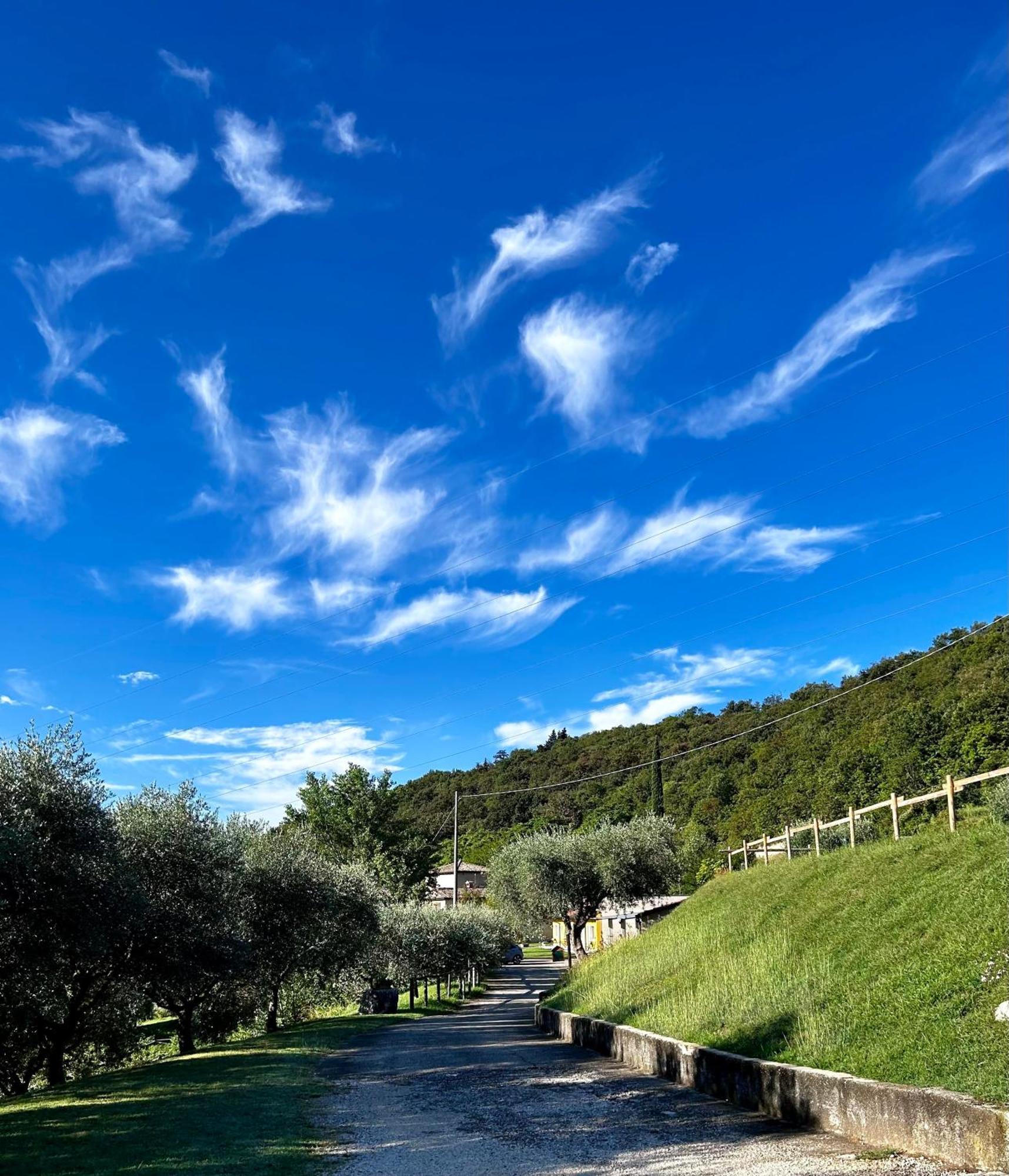 Bauernhof Agriturismo Ca' Cristane *